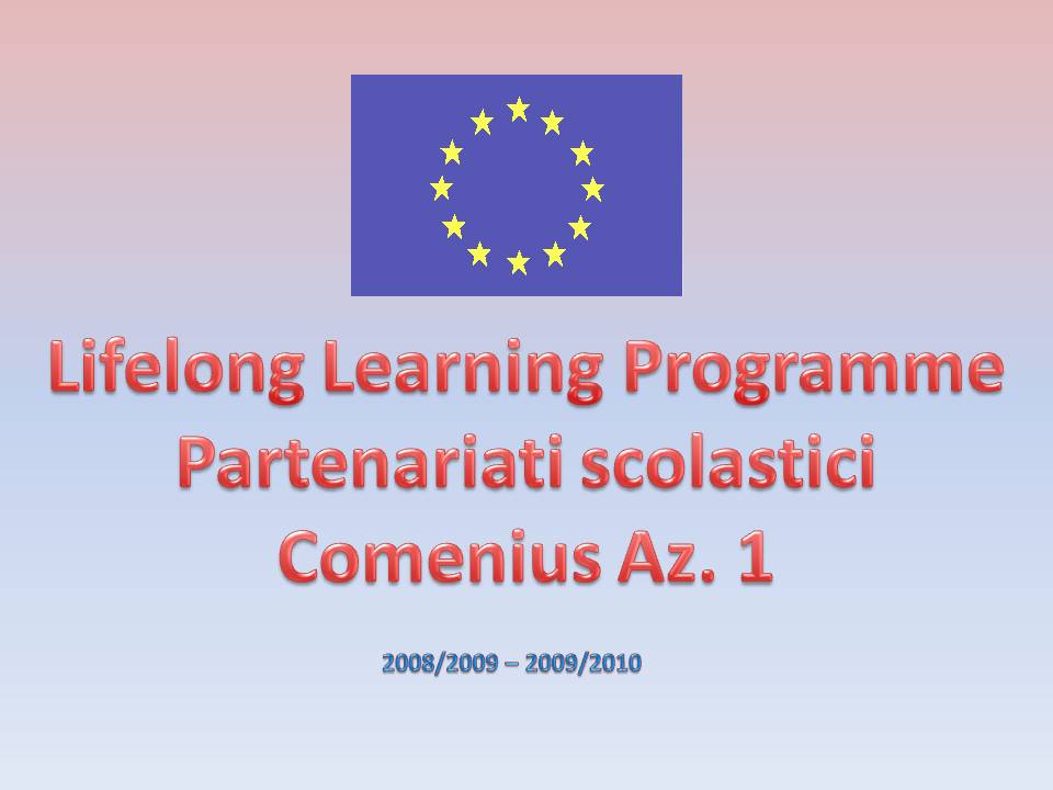 locandina comenius 2008